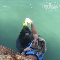 фото из отзыва ID 1937833