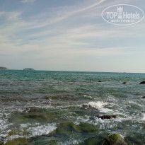 фото из отзыва ID 1937972