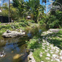 фото из отзыва ID 1937986