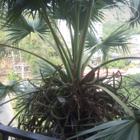 фото из отзыва ID 1937990