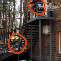 фото из отзыва ID 1938171