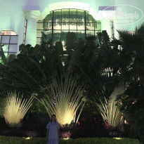 фото из отзыва ID 1938355