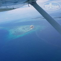 фото из отзыва ID 1938374