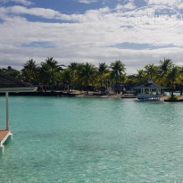 фото из отзыва ID 1938374