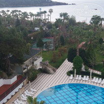 фото из отзыва ID 1935263