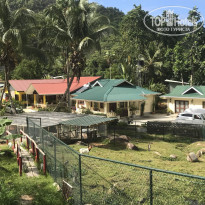 фото из отзыва ID 1938401