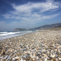 фото из отзыва ID 1938571