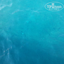 фото из отзыва ID 1938696