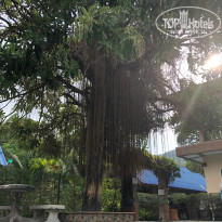 фото из отзыва ID 1938842