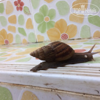 фото из отзыва ID 1938839