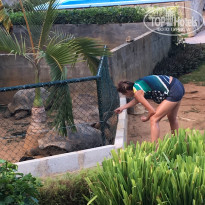 фото из отзыва ID 1938858