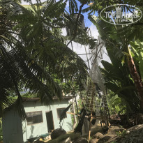 фото из отзыва ID 1938858