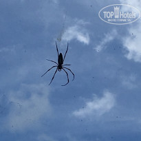 фото из отзыва ID 1938858