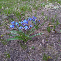 фото из отзыва ID 1938871