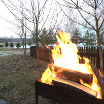 фото из отзыва ID 1938883