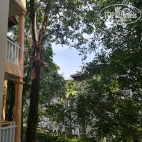 фото из отзыва ID 1938986