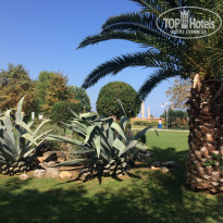 фото из отзыва ID 1939021