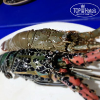 фото из отзыва ID 1939144