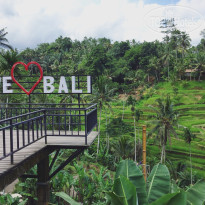 фото из отзыва ID 1939406