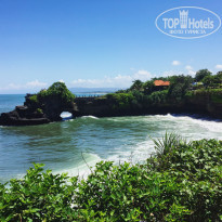 фото из отзыва ID 1939406