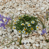 фото из отзыва ID 1939466