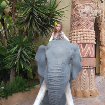 фото из отзыва ID 1939491