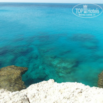 фото из отзыва ID 1939466