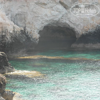 фото из отзыва ID 1939466