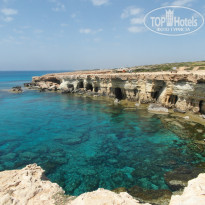 фото из отзыва ID 1939466