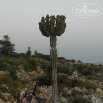 фото из отзыва ID 1939466