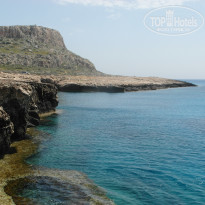 фото из отзыва ID 1939466