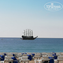 фото из отзыва ID 1939499