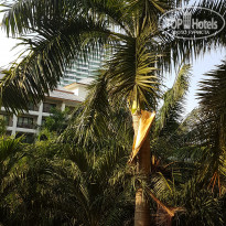 фото из отзыва ID 1939553