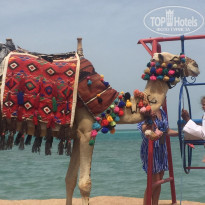 фото из отзыва ID 1939677