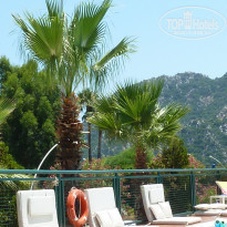 фото из отзыва ID 1939723