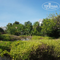 фото из отзыва ID 1939852