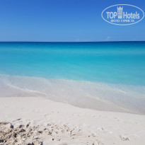 фото из отзыва ID 1939852