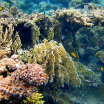 фото из отзыва ID 1939905