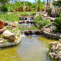 фото из отзыва ID 1939905