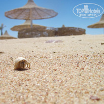 фото из отзыва ID 1939905