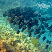 фото из отзыва ID 1939905