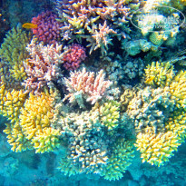 фото из отзыва ID 1939905