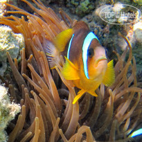 фото из отзыва ID 1939905