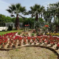 фото из отзыва ID 1939944