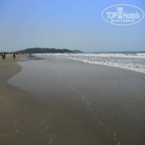 фото из отзыва ID 1939993