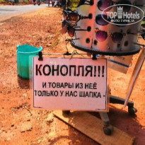 фото из отзыва ID 1939993