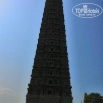 фото из отзыва ID 1939993