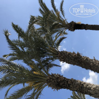 фото из отзыва ID 1935750