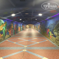 фото из отзыва ID 1938003