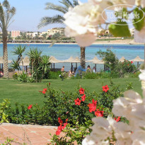 фото из отзыва ID 19492